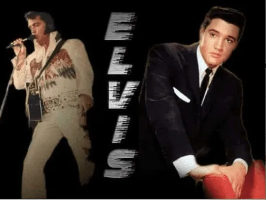 Pintar por números Elvis Presley en dos etapas – foto 3