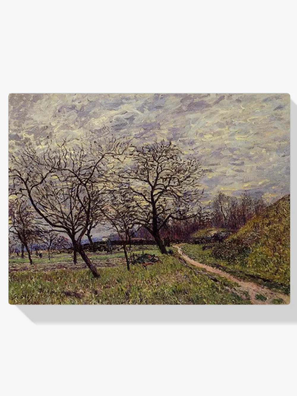 Pintar por números Entre Veneux y By, mañana de diciembre