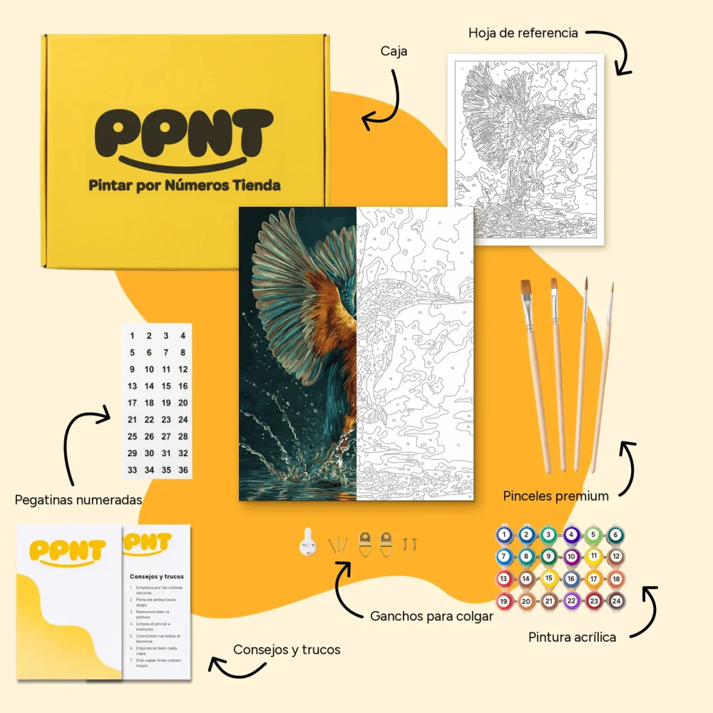 Pintar por Números - Espléndido martín pescador en picado