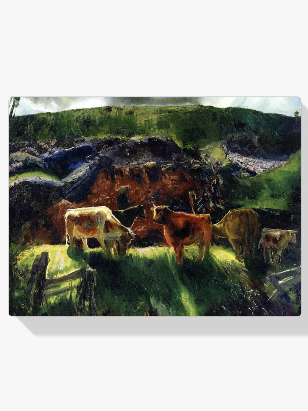 Pintar por números Establo de vacas y cerdos