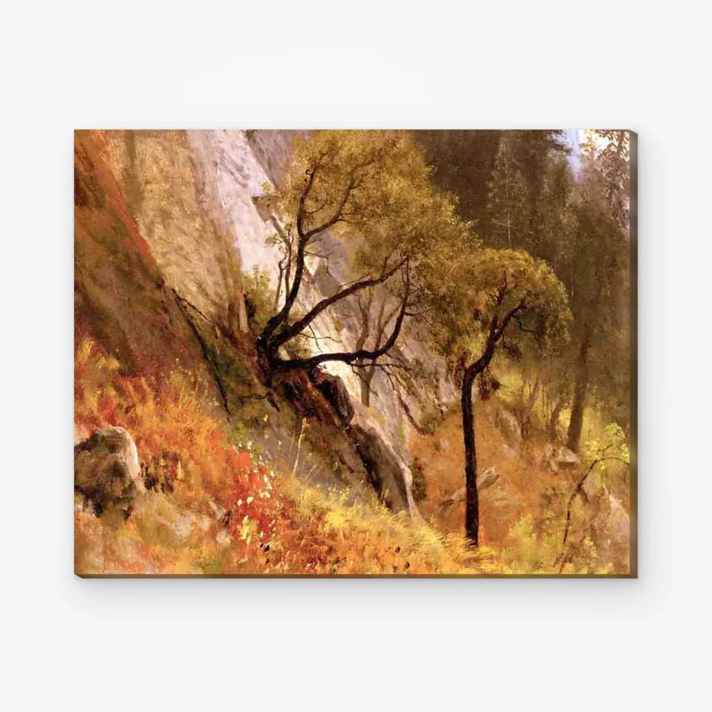 Pintar por Números - Estudio de paisaje de Yosemite, California