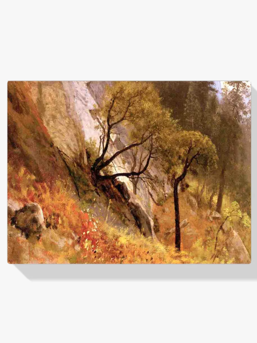 Pintar por números Estudio de paisaje de Yosemite, California