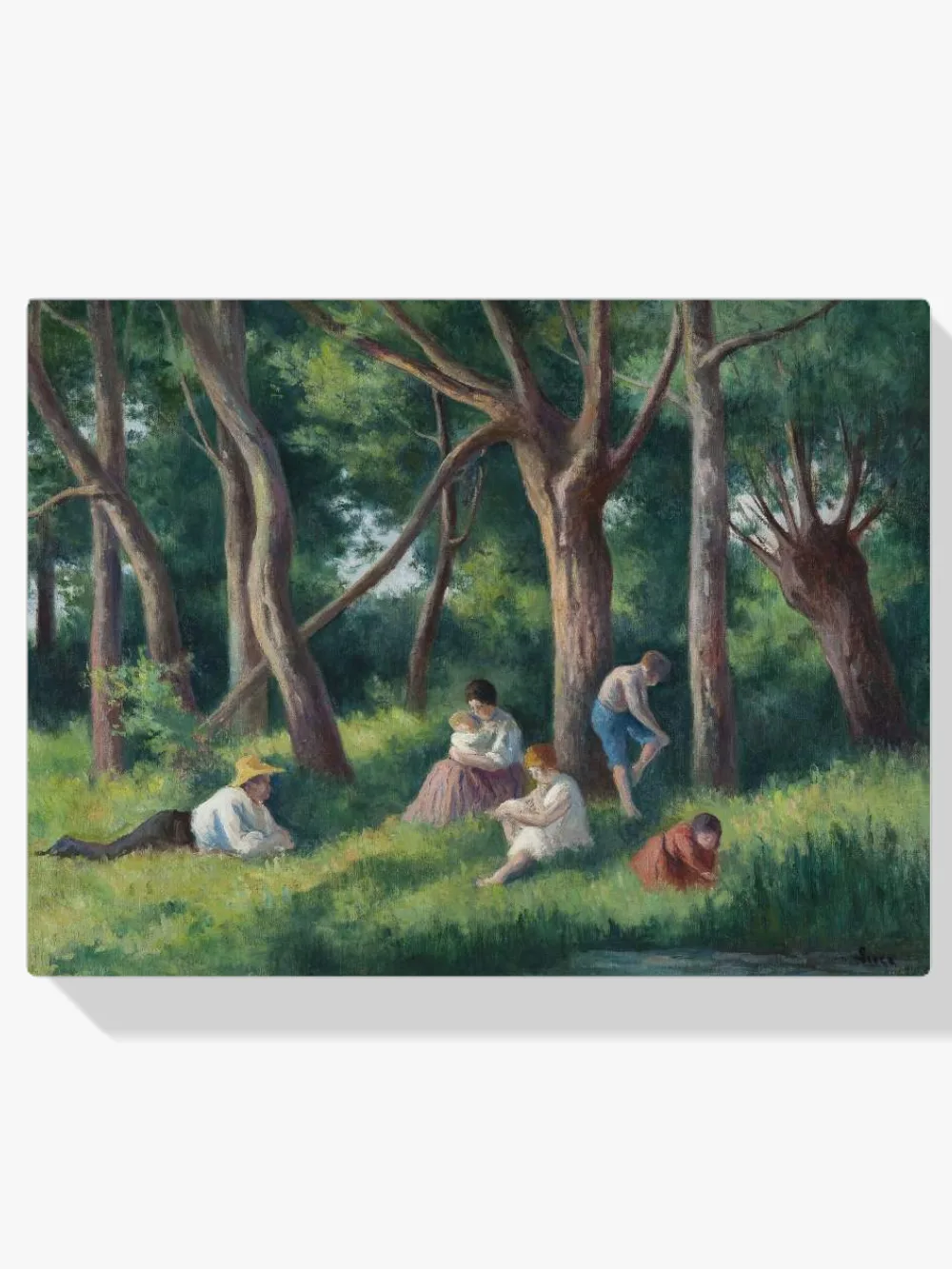 Pintar por números Final de la tarde en el bosque