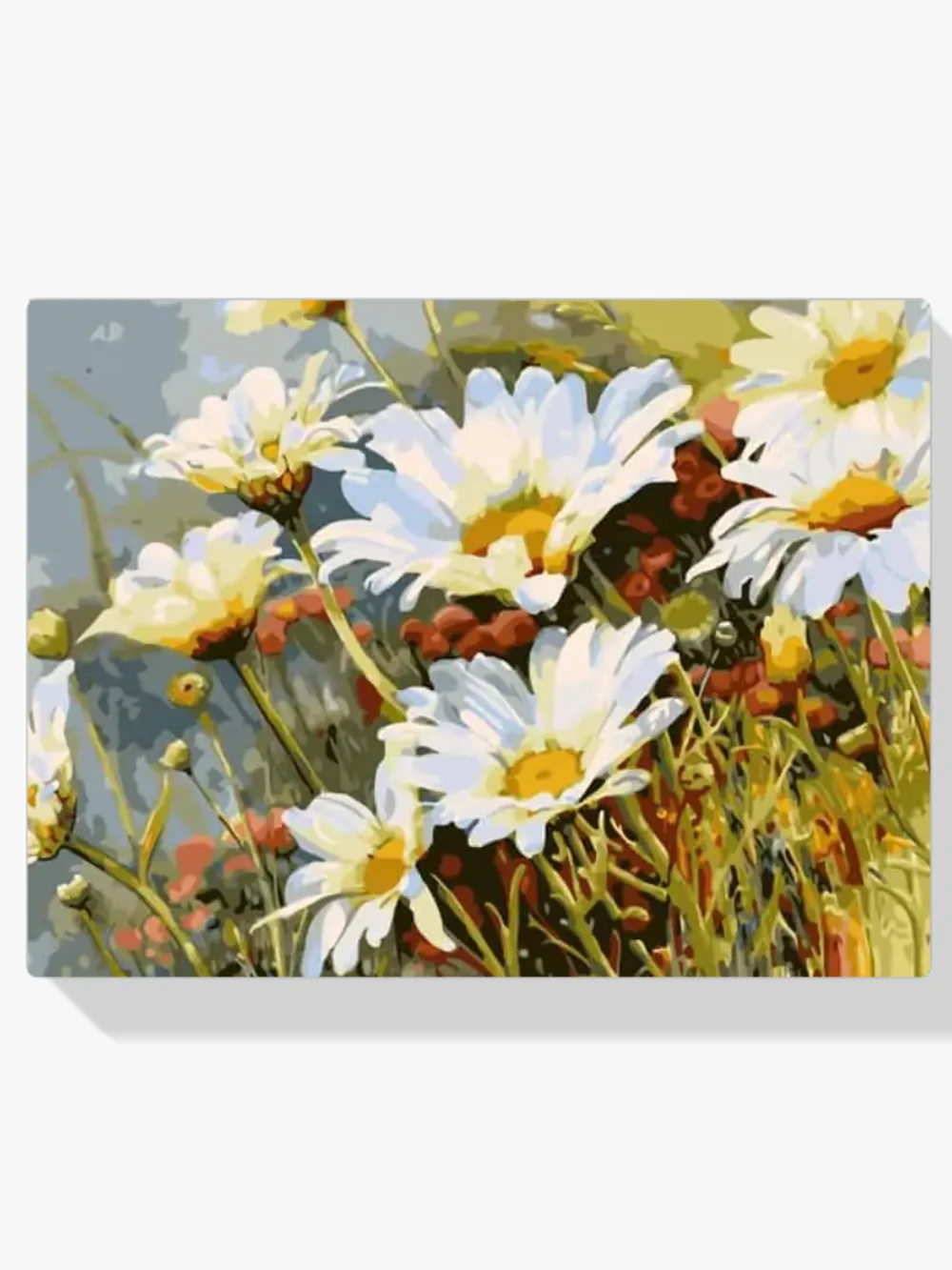 Pintar por números Flores blancas en el campo