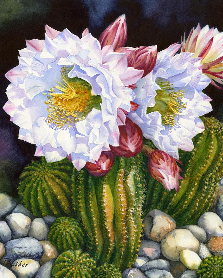 Pintar por números Flores de cactus – foto 2