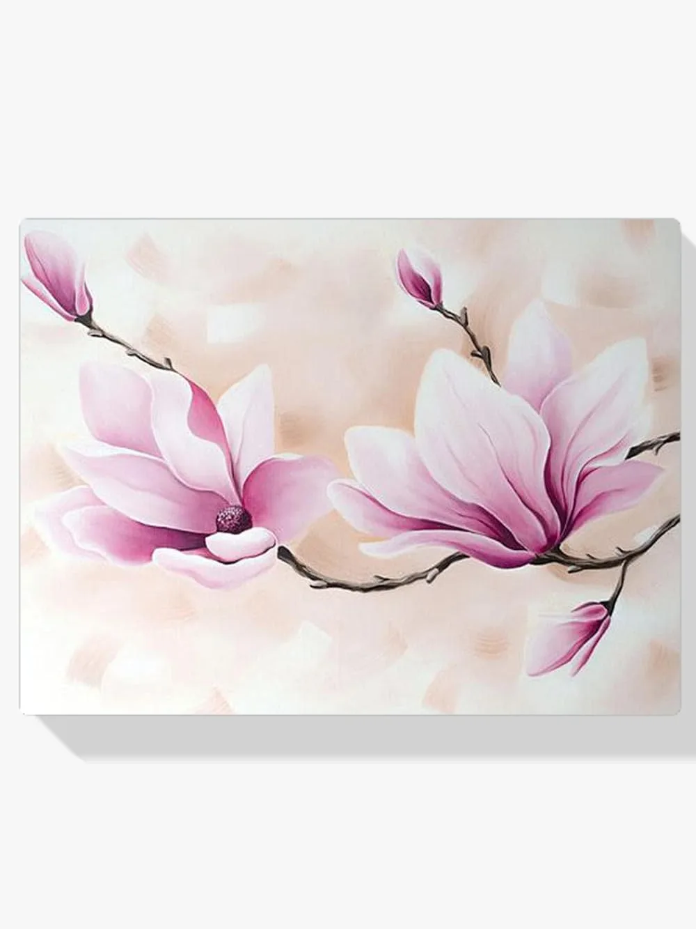 Pintar por números Flores de magnolia