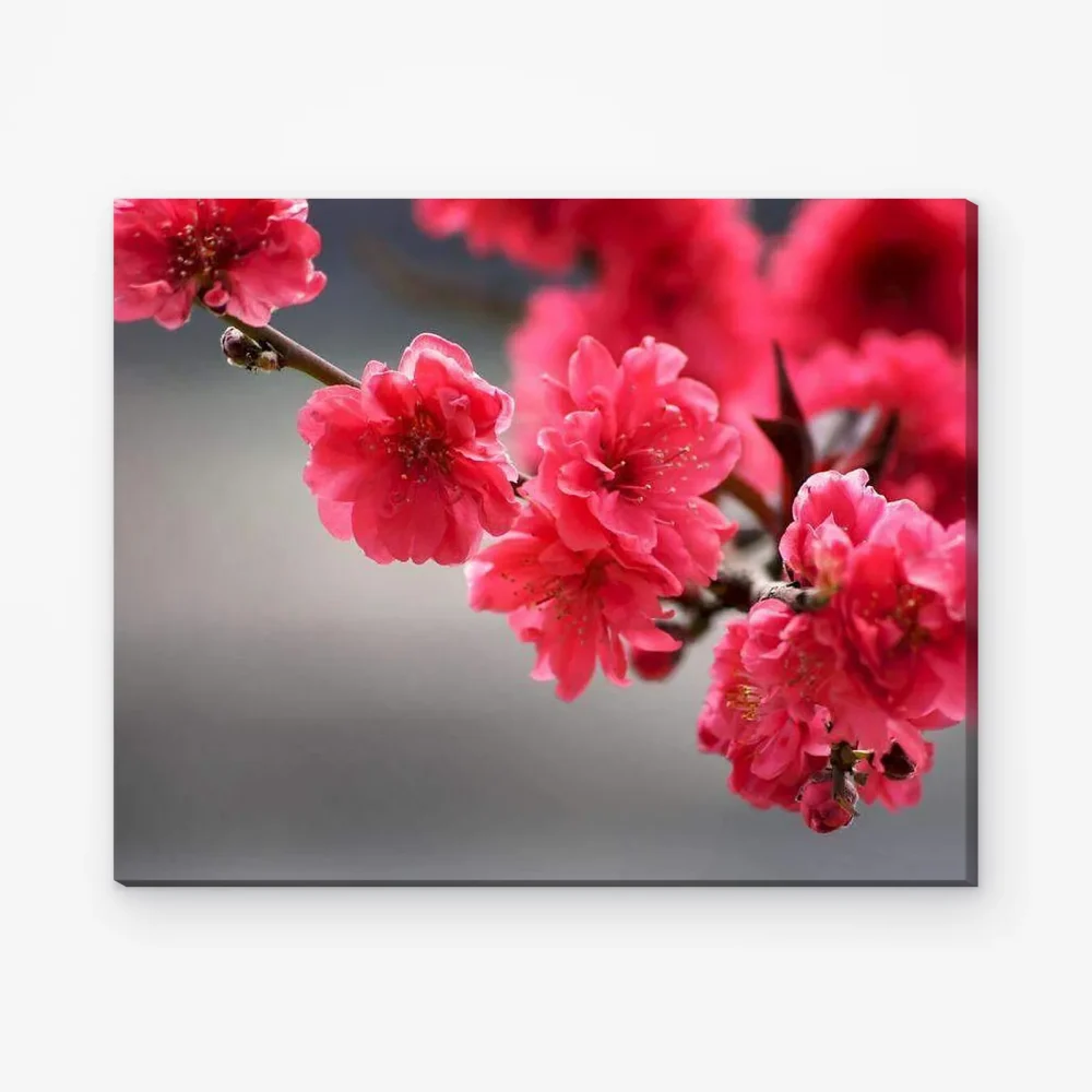 Pintar por Números - Flores rosas abstractas