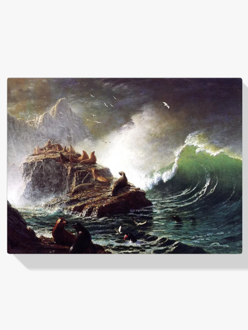 Pintar por números Focas en las rocas de las islas Farallón