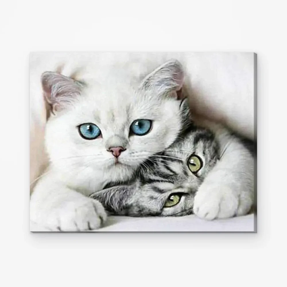 Pintar por Números - Gatitos tiernos