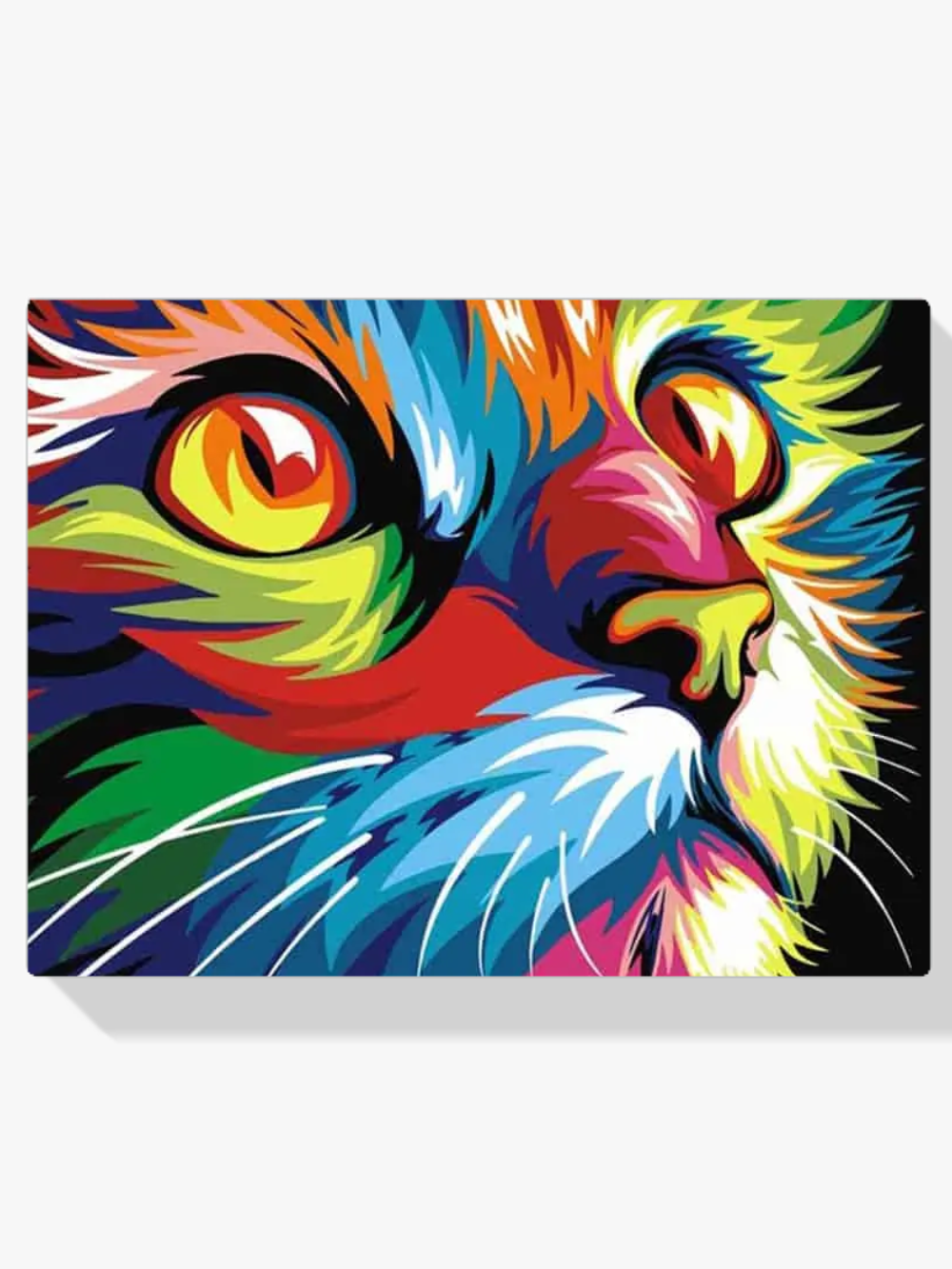 Cuadro de pintar por números de un gato de colores