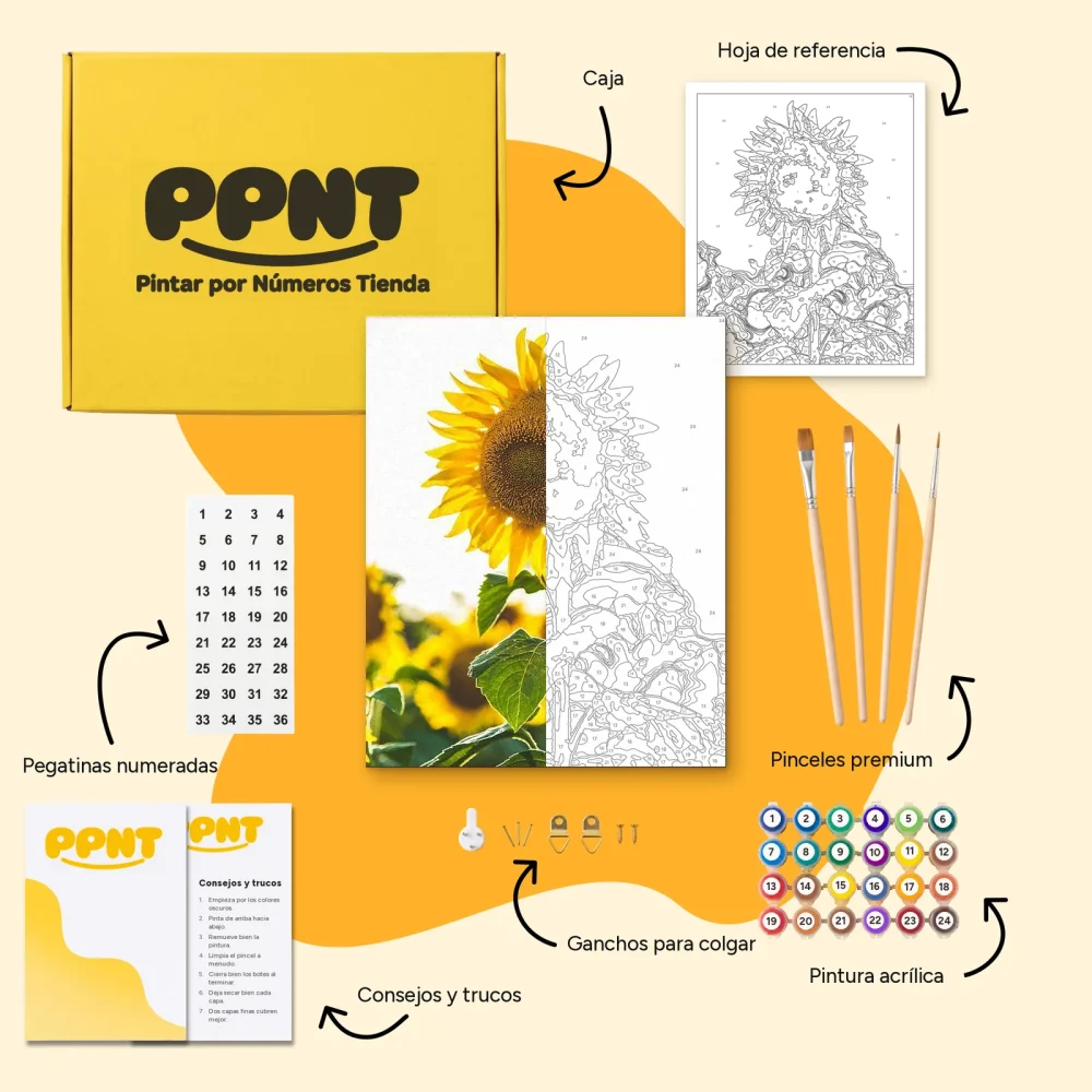 Pintar por Números - Girasol en el campo
