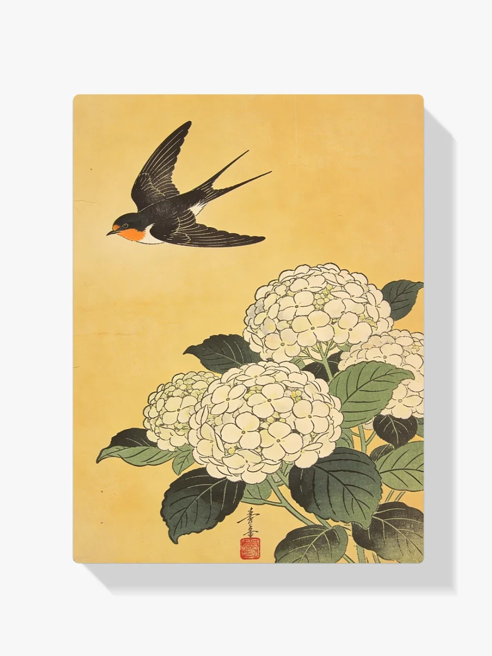 Pintar por números Golondrina sobre hortensias blancas