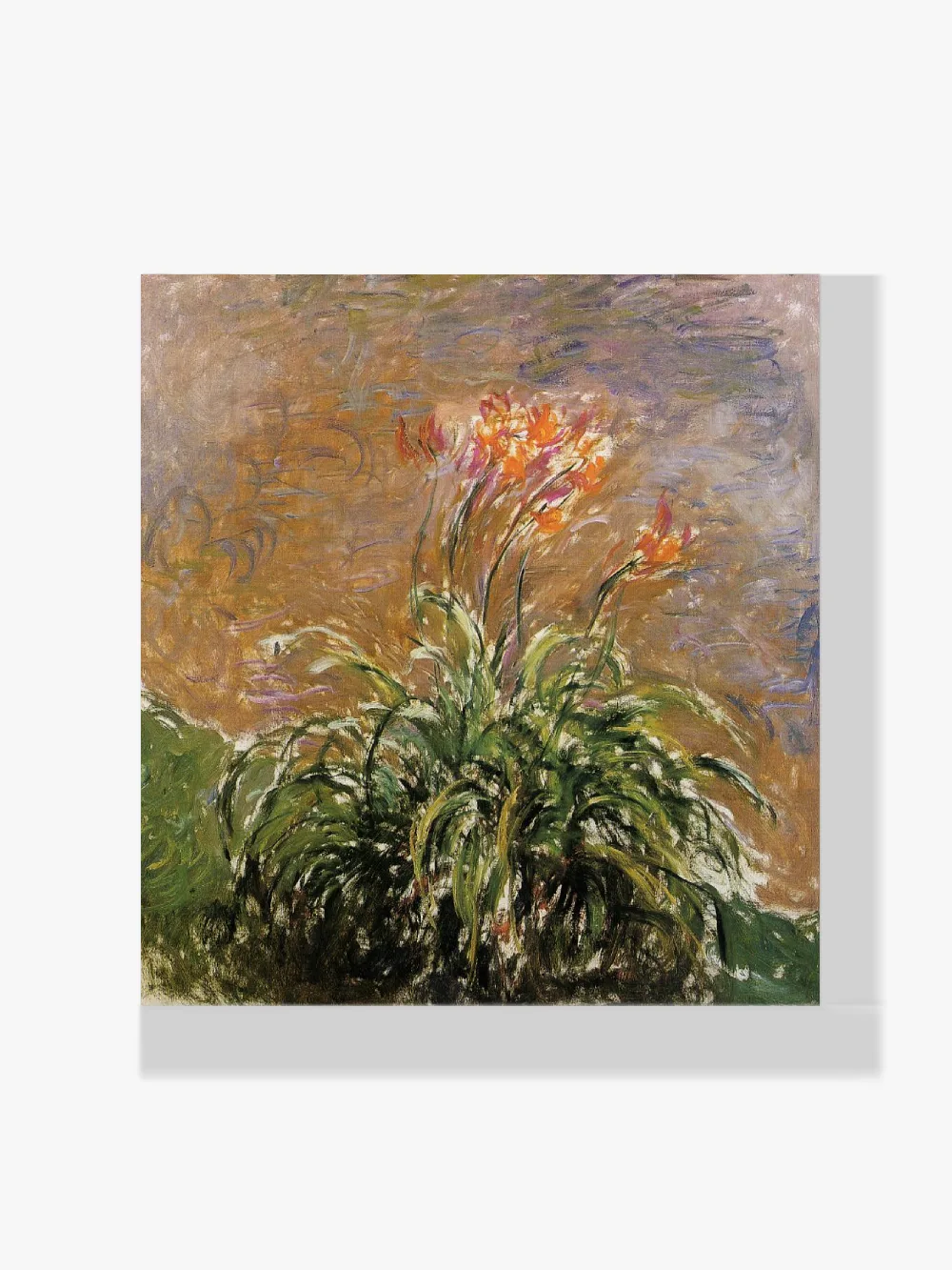 Pintar por números Hemerocallis