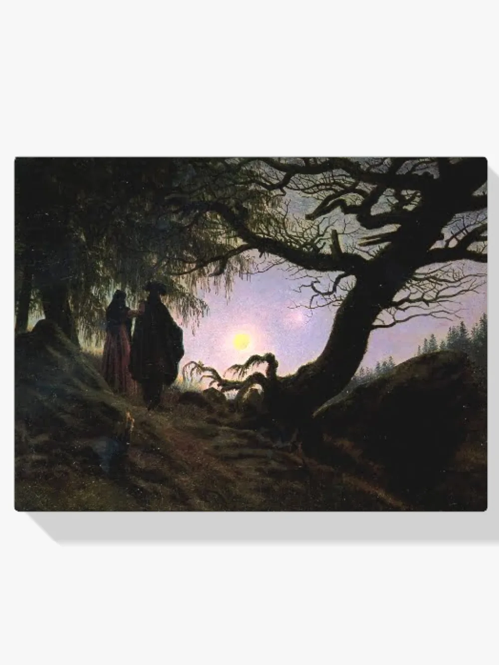 Pintar por números Hombre y mujer contemplando la luna