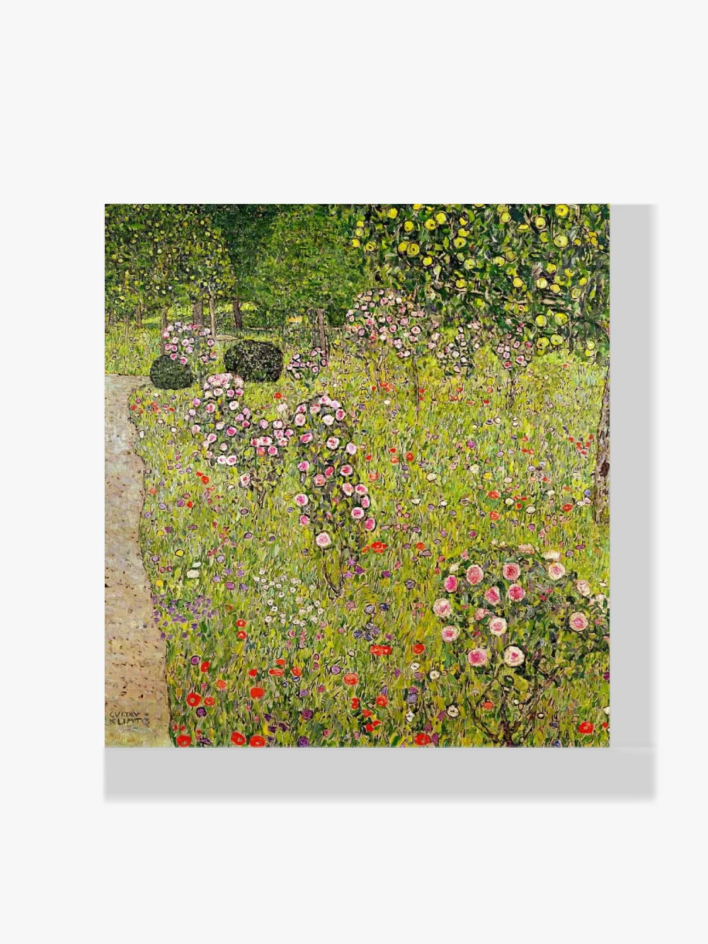 Pintar por números Huerto con rosas