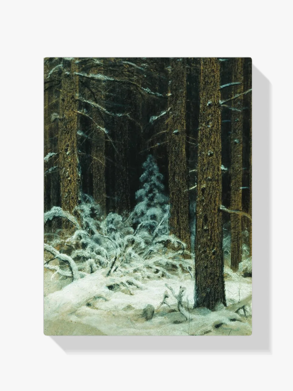Pintar por números Invierno