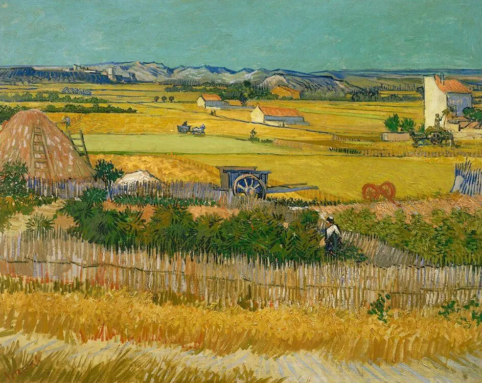 Pintar por números La cosecha – foto 2