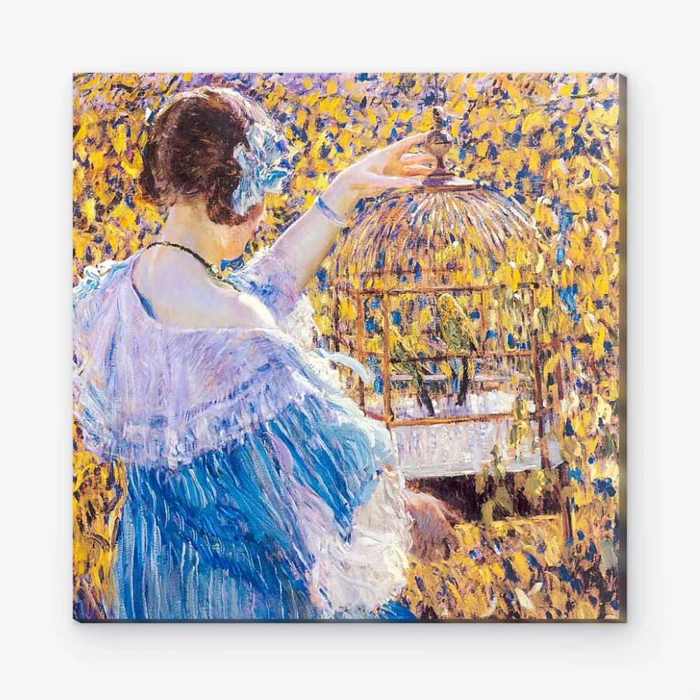 Pintar por Números - La jaula