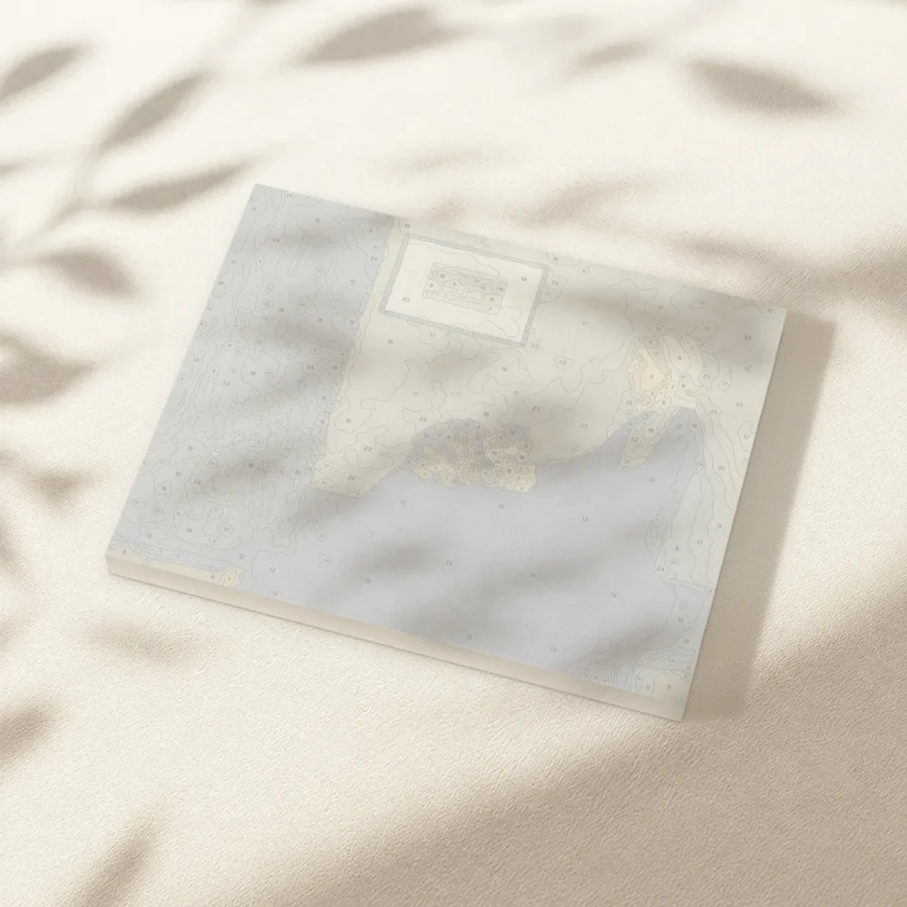 Pintar por Números - La madre de Whistler con gato