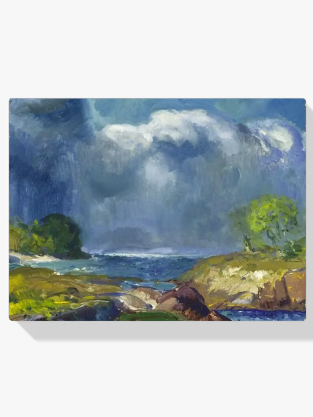 Pintar por números La tormenta que se avecina - George Bellows