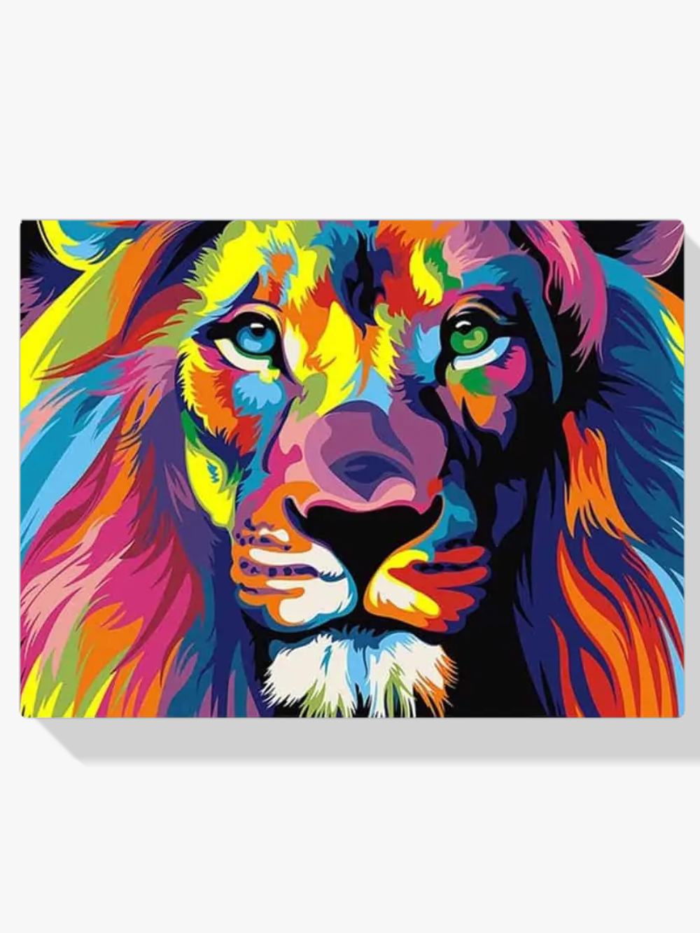 Cuadro de pintar por números de un león