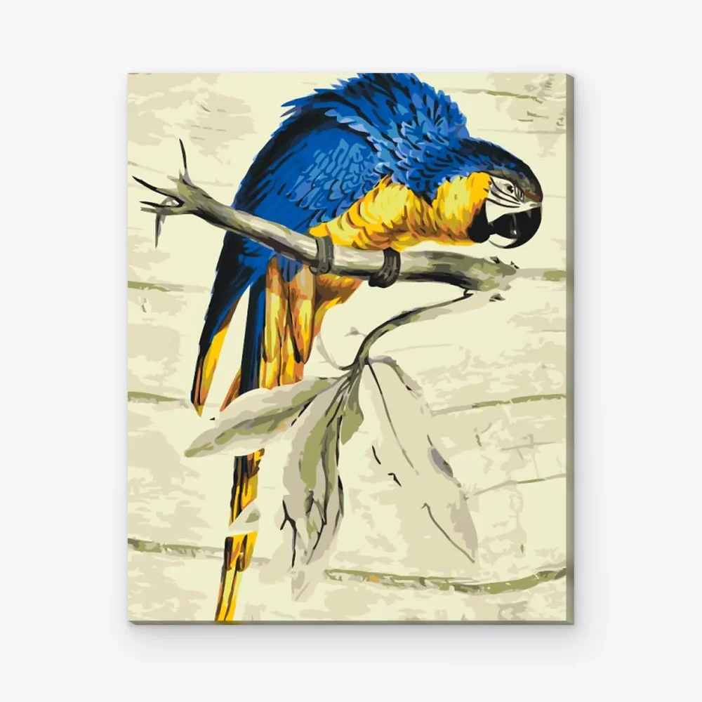 Pintar por Números - Loro vintage