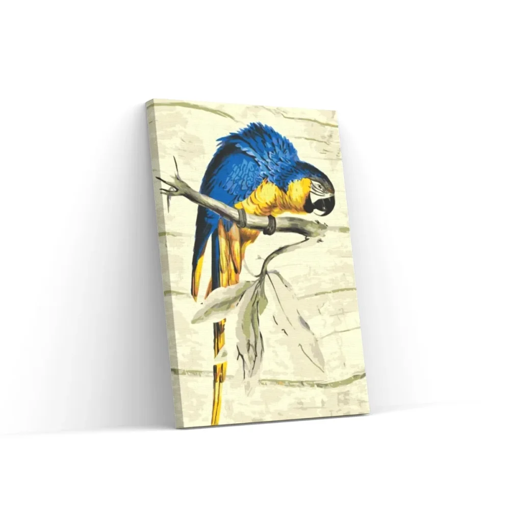 Pintar por números Loro vintage