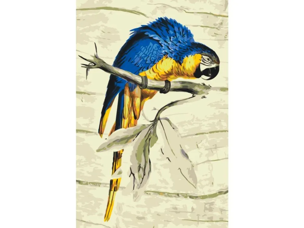 Pintar por números Loro vintage – foto 2