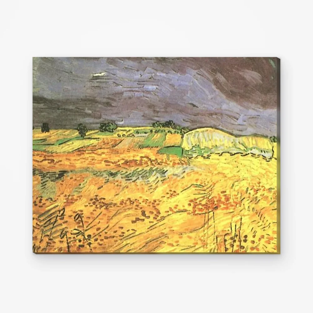 Pintar por Números - Los campos