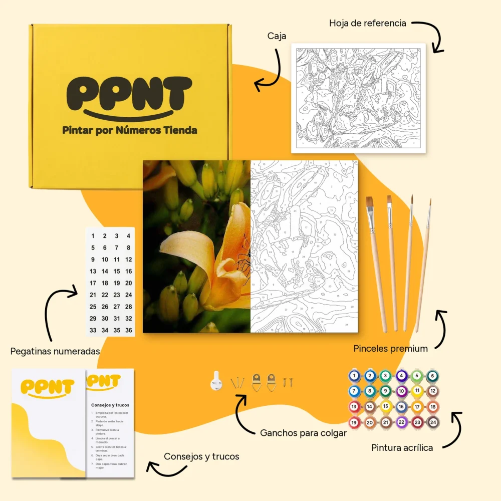 Pintar por Números - Mariposa sobre un tulipán