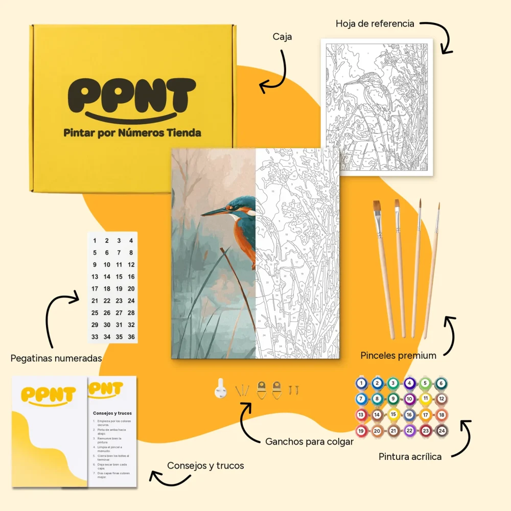 Pintar por Números - Martín pescador al amanecer - Aves