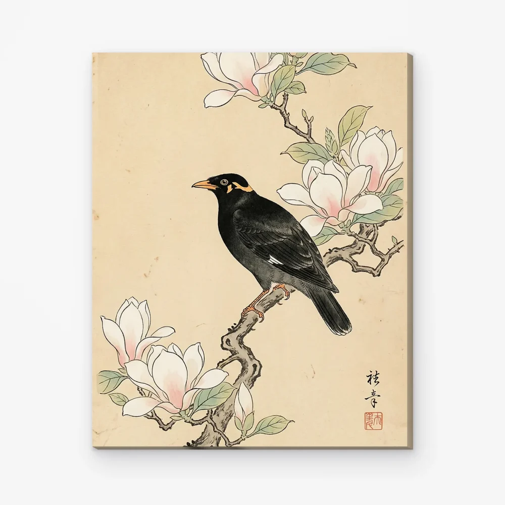 Pintar por Números - Mirlo junto a la magnolia