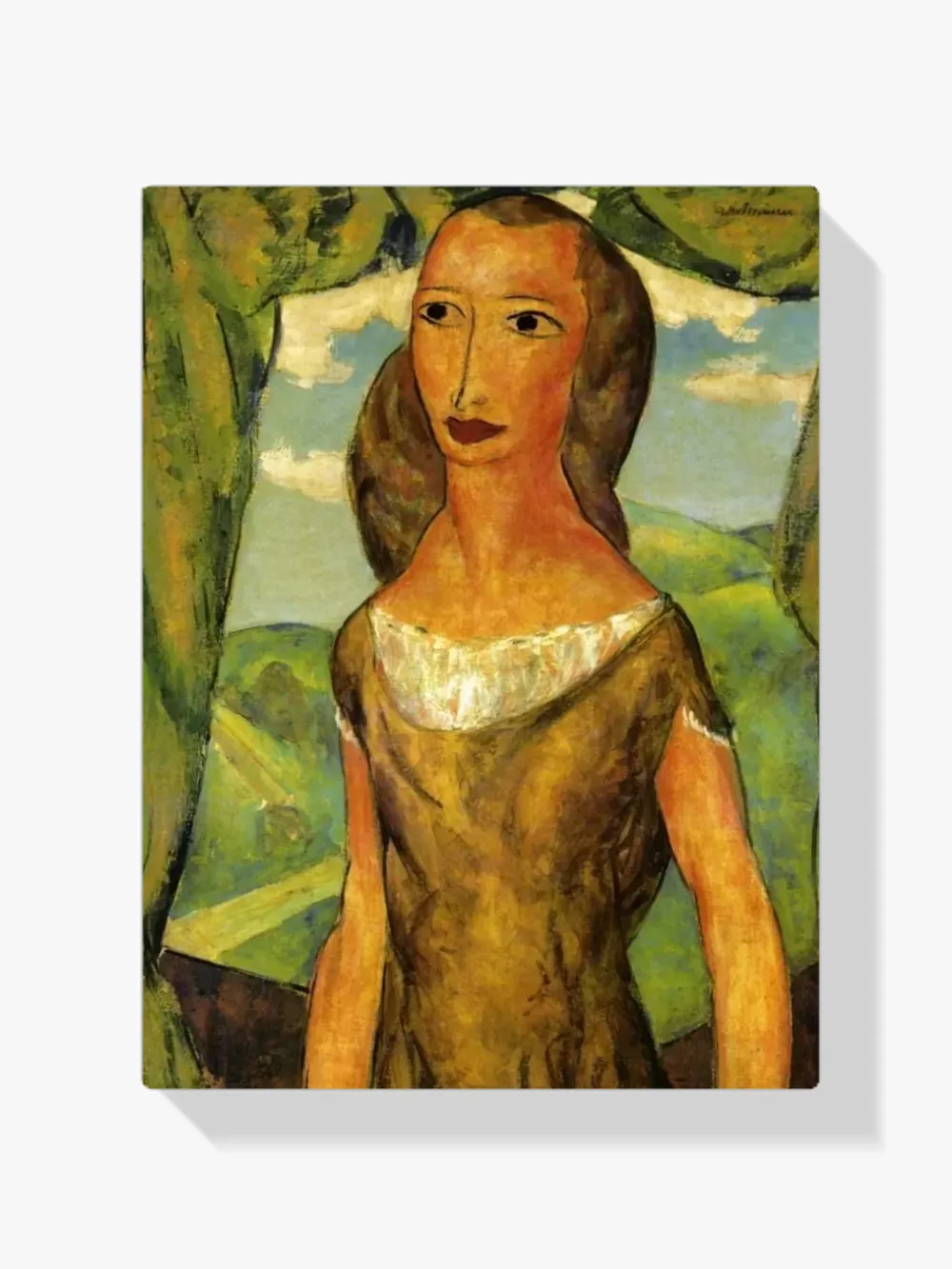 Pintar por números Muchacha con paisaje