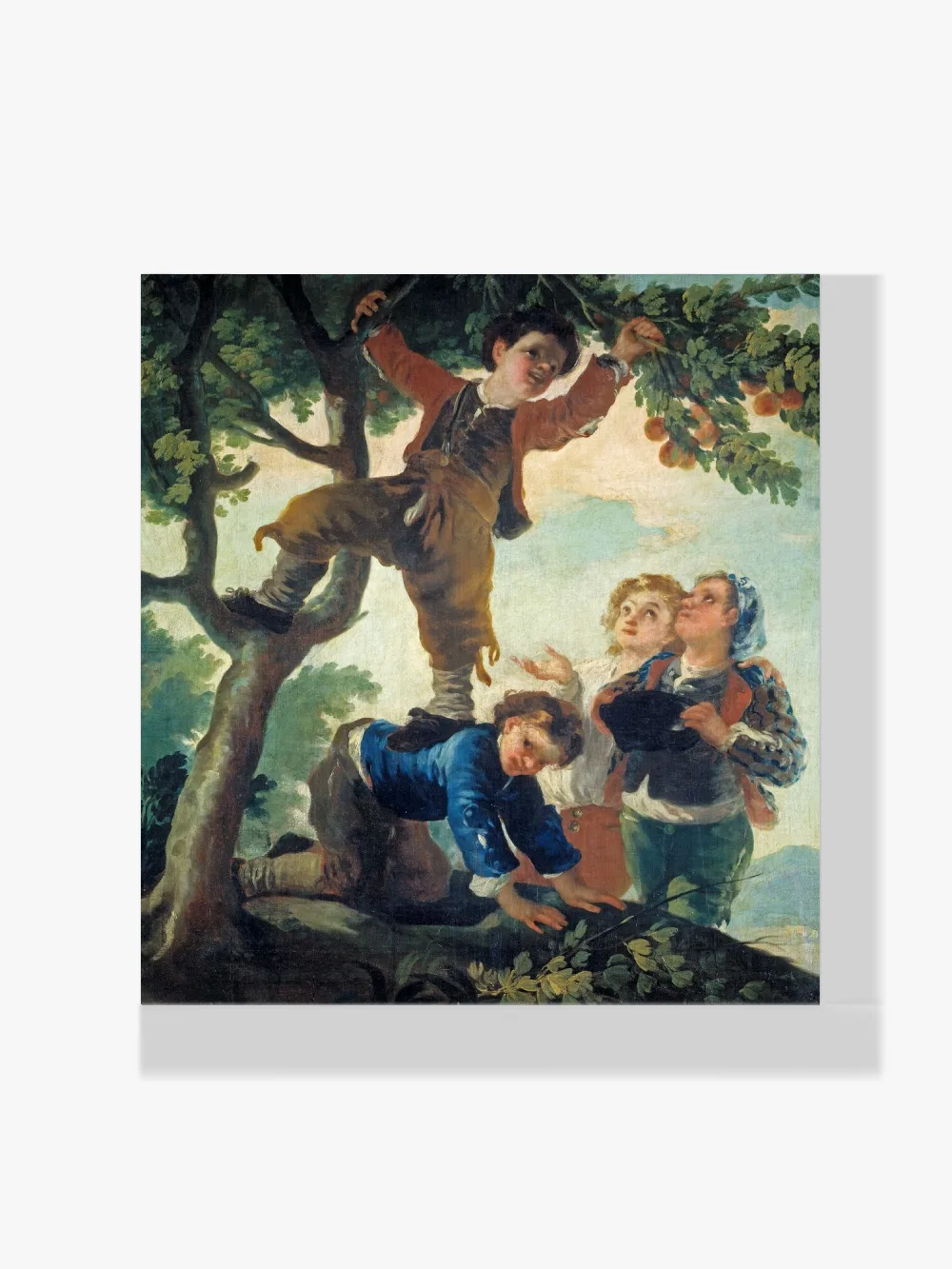 Pintar por números Muchachos cogiendo fruta