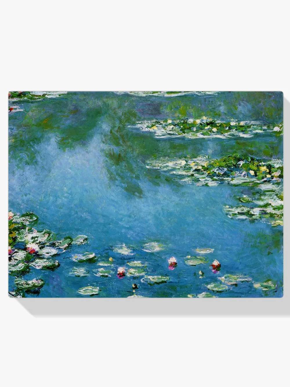 Pintar por números Nenúfares 1