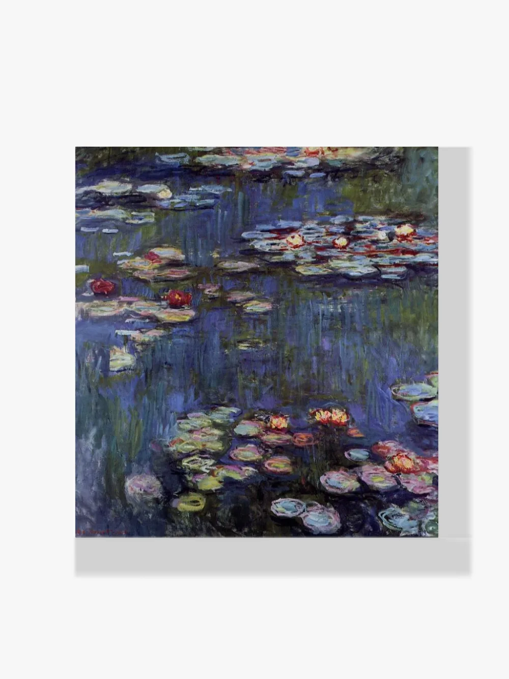 Pintar por números Nenúfares 5