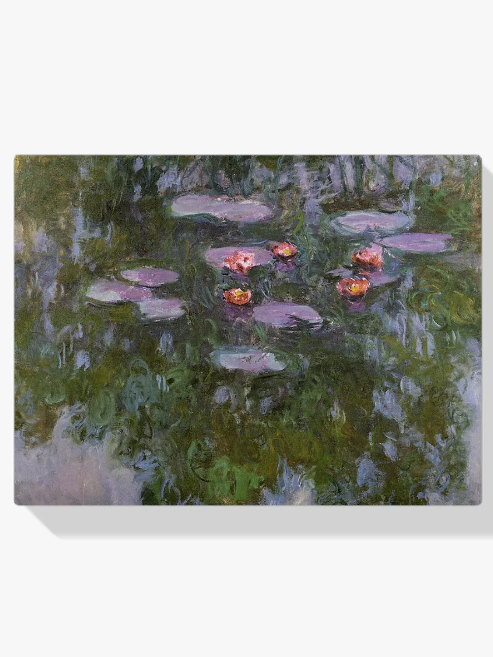 Pintar por números Nenúfares 6
