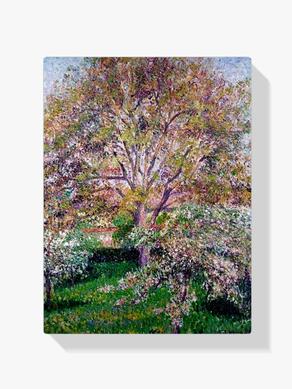 Pintar por números Nogal y manzanos en flor en Éragny