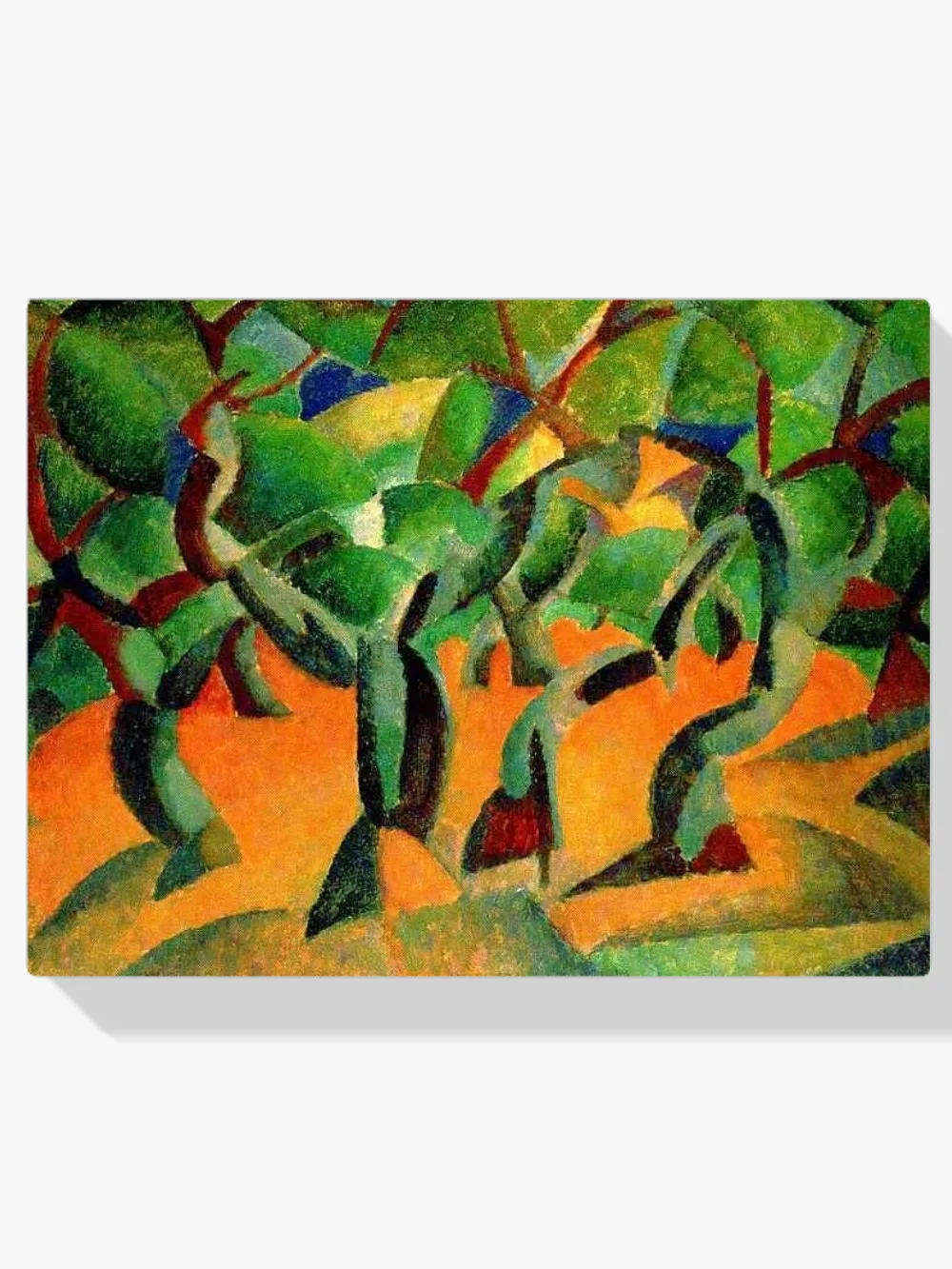 Pintar por números Olivar