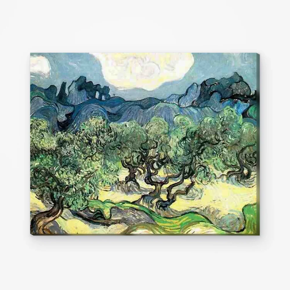 Pintar por Números - Olivos con los Alpilles al fondo