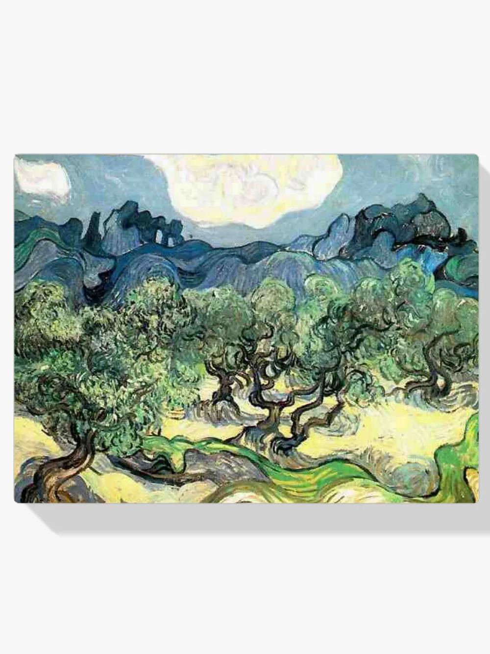 Pintar por números Olivos con los Alpilles al fondo