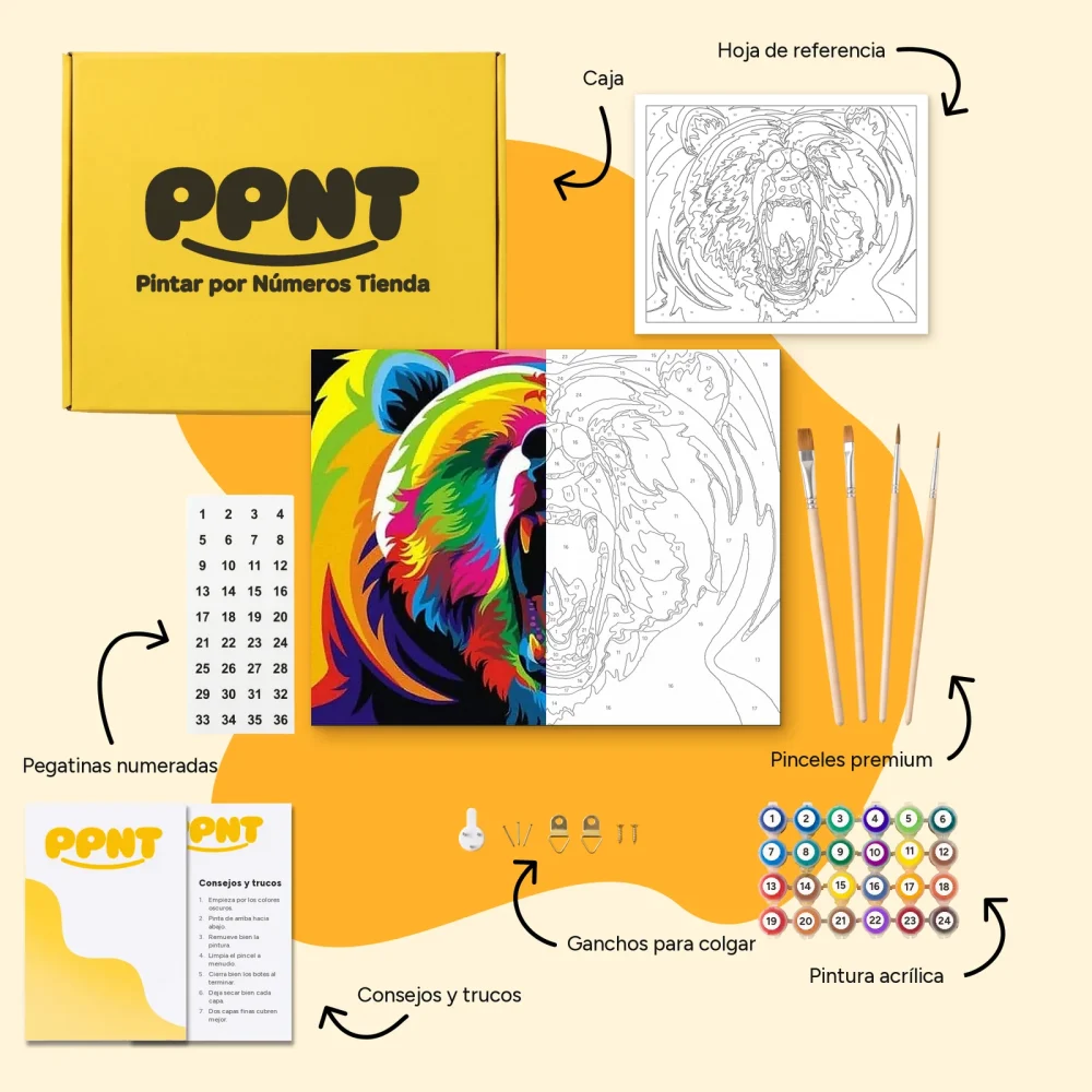 Pintar por Números - Oso de colores