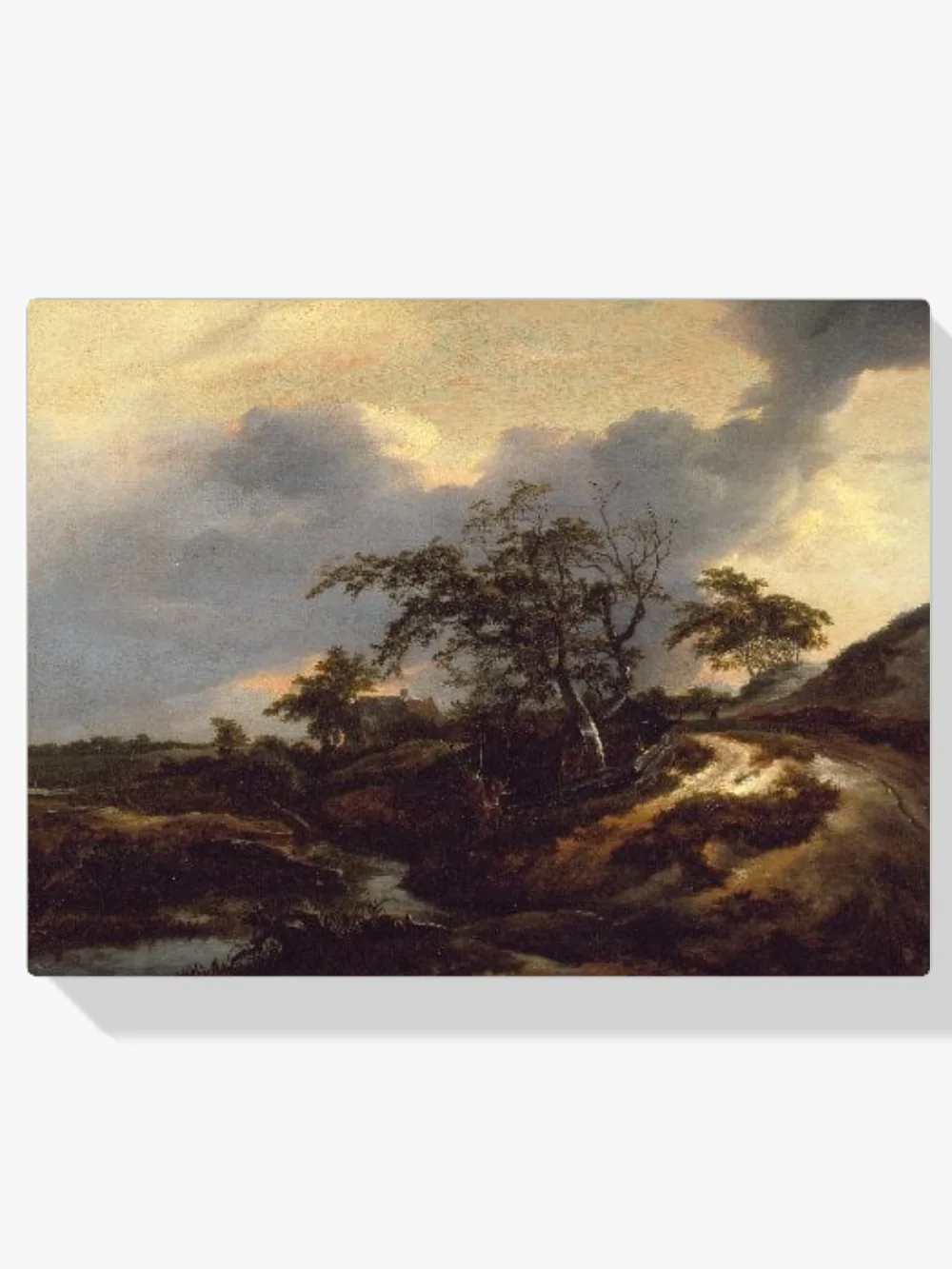 Pintar por números Paisaje con dunas