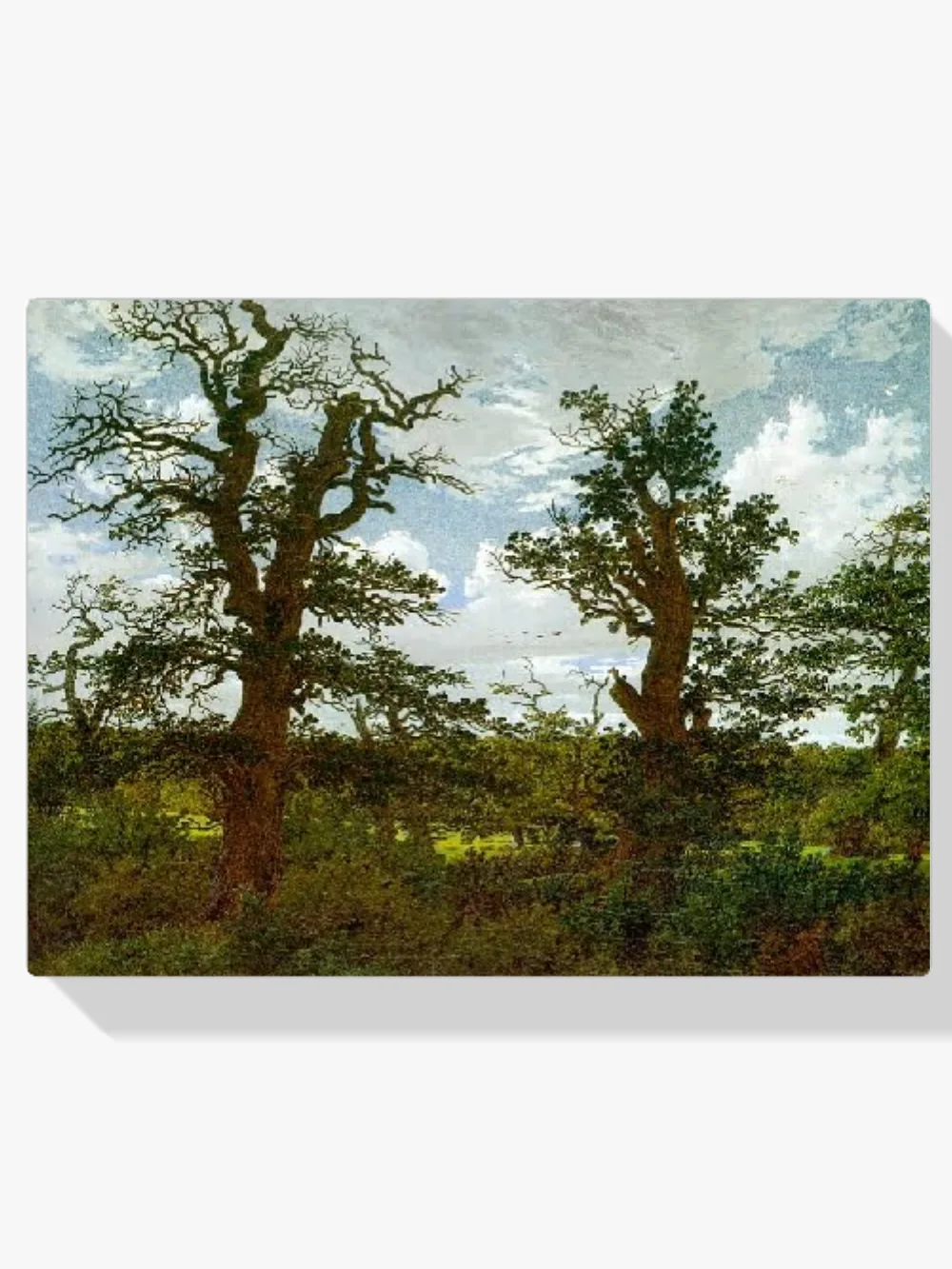 Pintar por números Paisaje con robles y un cazador
