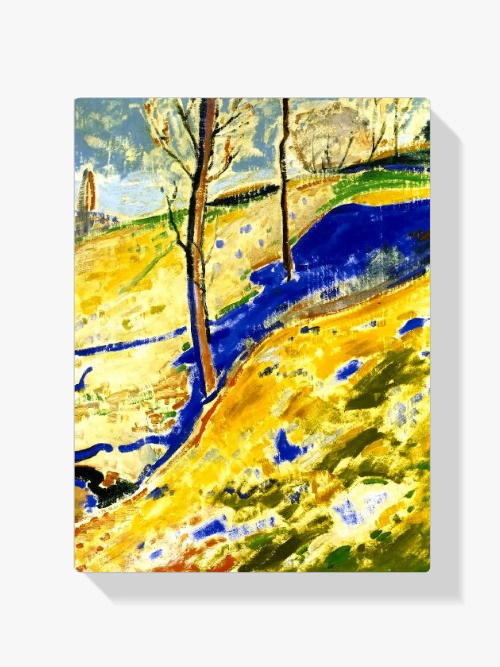 Pintar por números Paisaje fauvista