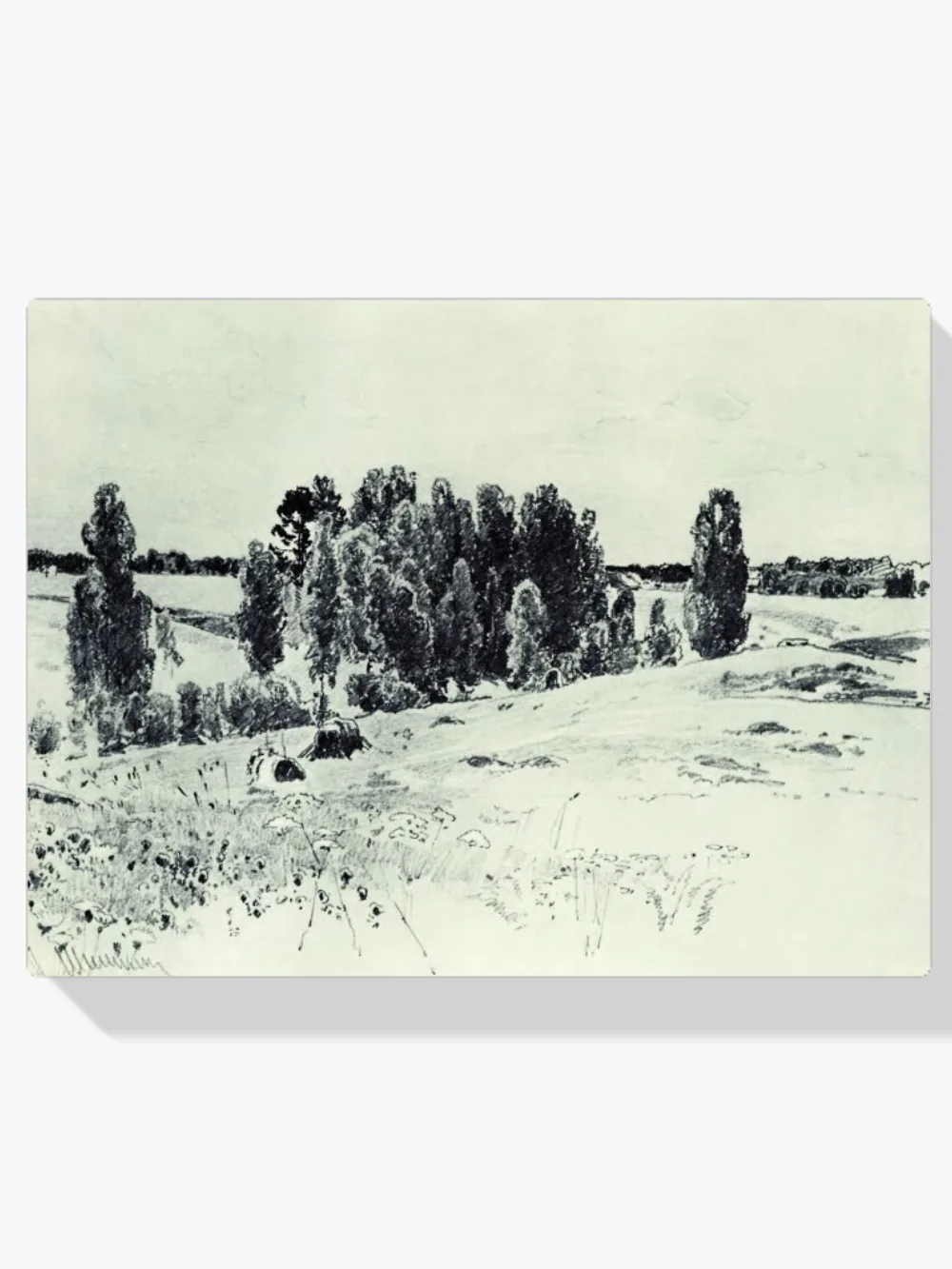 Pintar por números Paisaje - Iván Shishkin