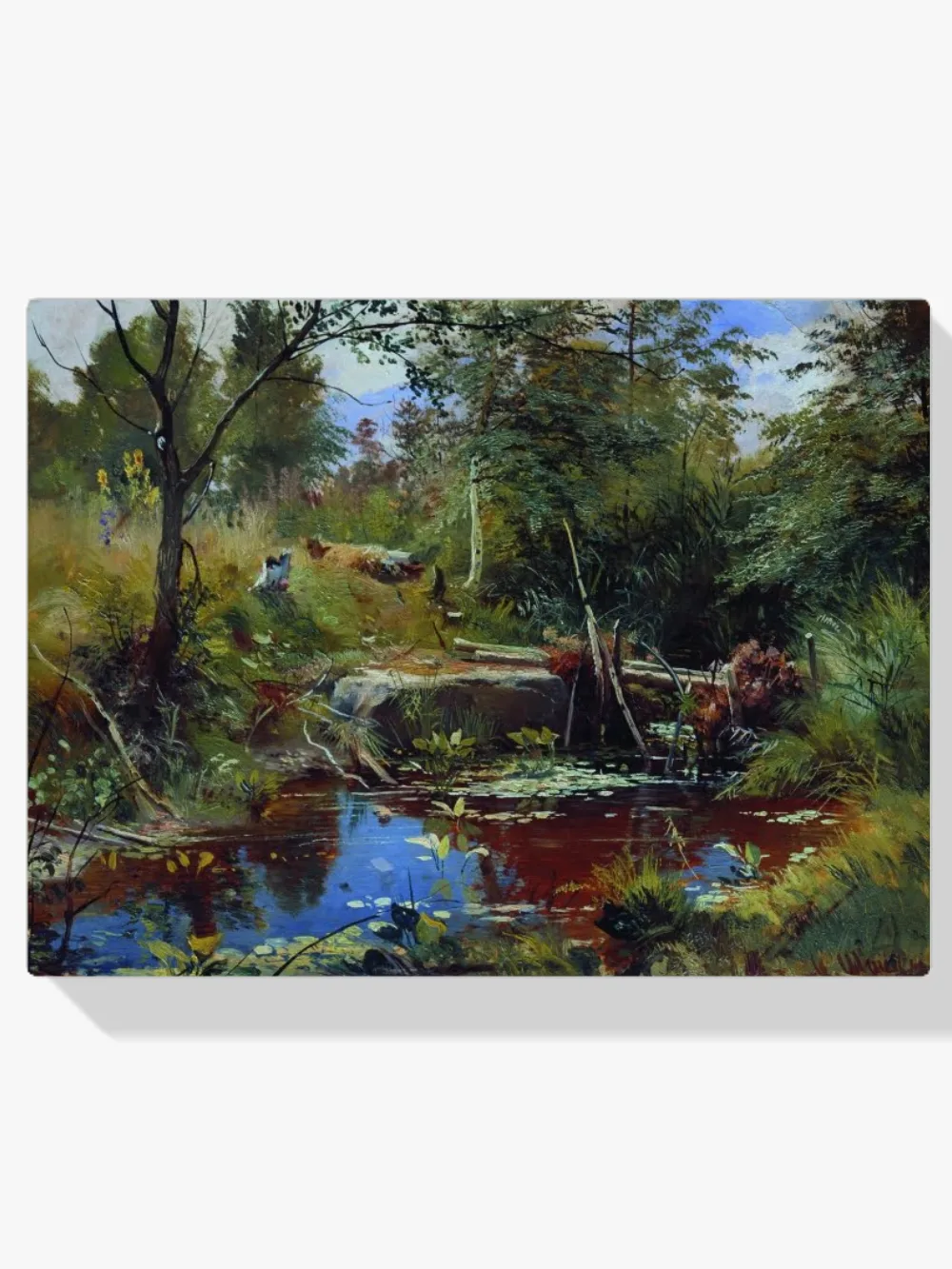 Pintar por números Paisaje - Ivan Sjisjkin