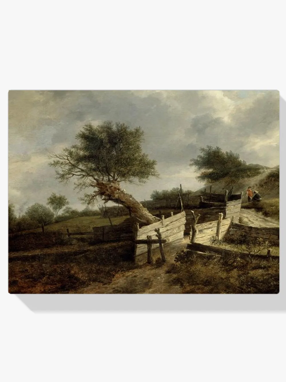 Pintar por números Paisaje - Jacob van Ruisdael