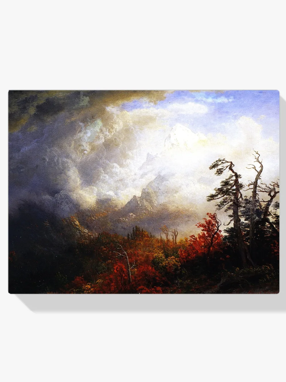 Pintar por números Paisaje otoñal
