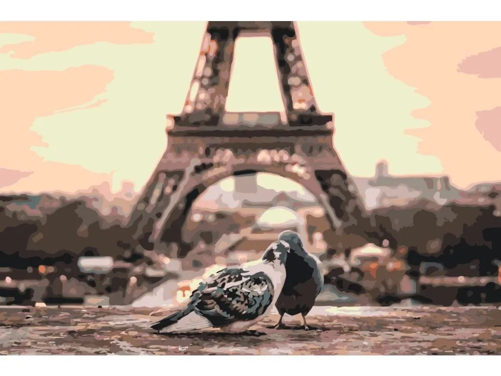 Pintar por números Palomas en París – foto 2